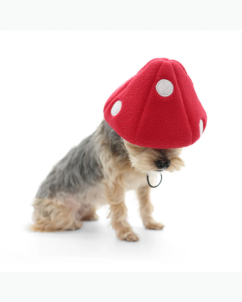 Howl-O-Ween Mushroom Cap - Image 5