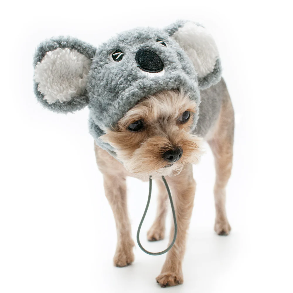 DOGO | Koala Hat - Image 3