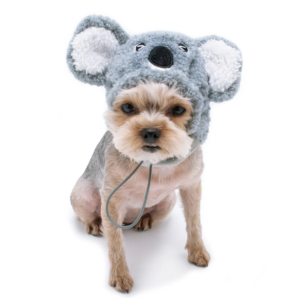 DOGO | Koala Hat - Image 5
