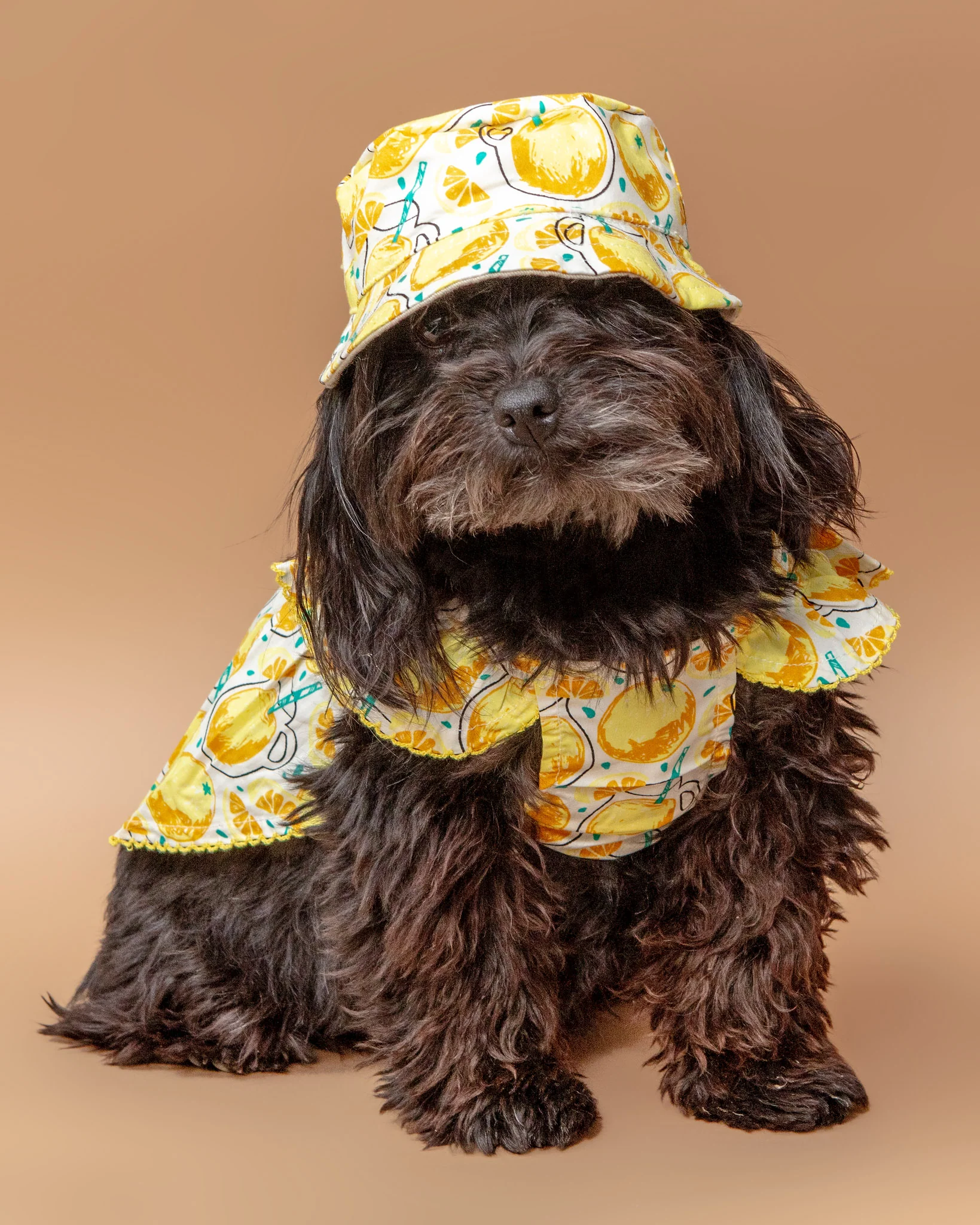 Lemonade Bucket Hat for Dogs << FINAL SALE >> - Image 6