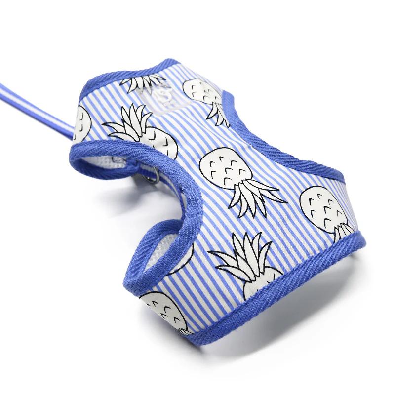 DOGO | Pineapple Harness in Blue - Image 2