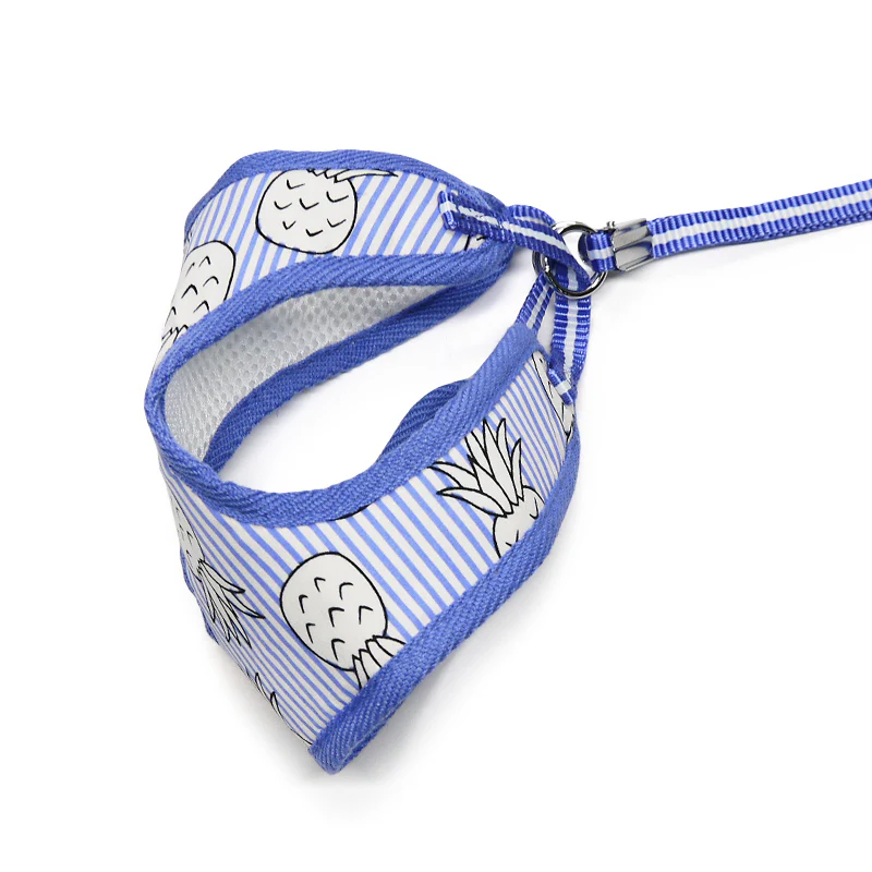 DOGO | Pineapple Harness in Blue - Image 3