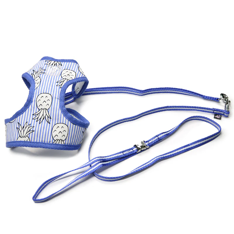 DOGO | Pineapple Harness in Blue - Image 5