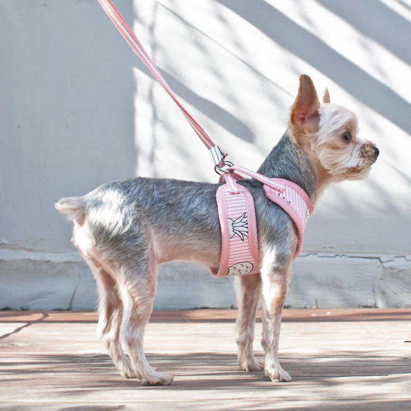 DOGO | Pineapple Harness in Pink - Image 7