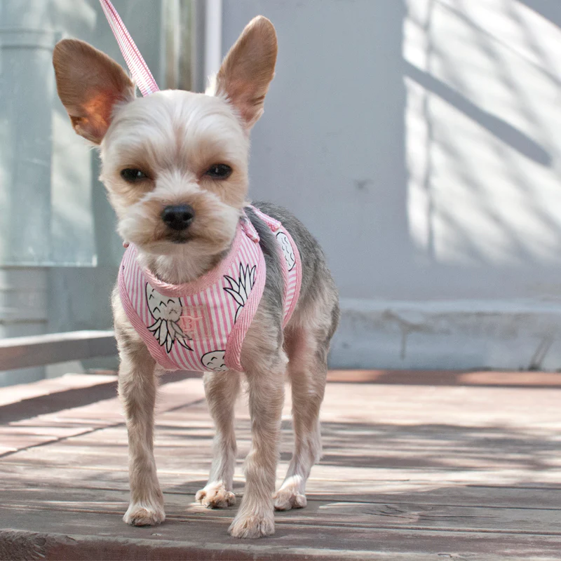 DOGO | Pineapple Harness in Pink - Image 8