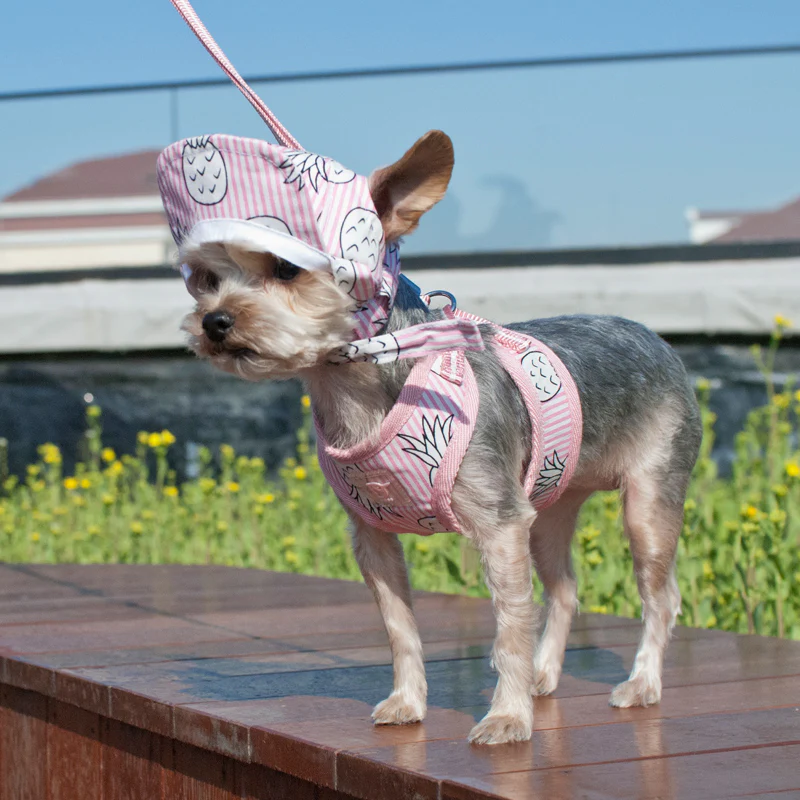 DOGO | Pineapple Harness in Pink - Image 9