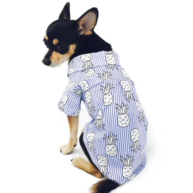 DOGO | Pineapple Shirt in Blue - Image 4