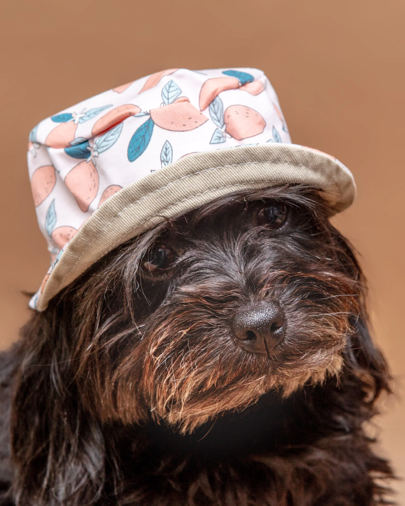 Pink Lemonade Bucket Hat for Dogs << CLEARANCE >> - Image 2
