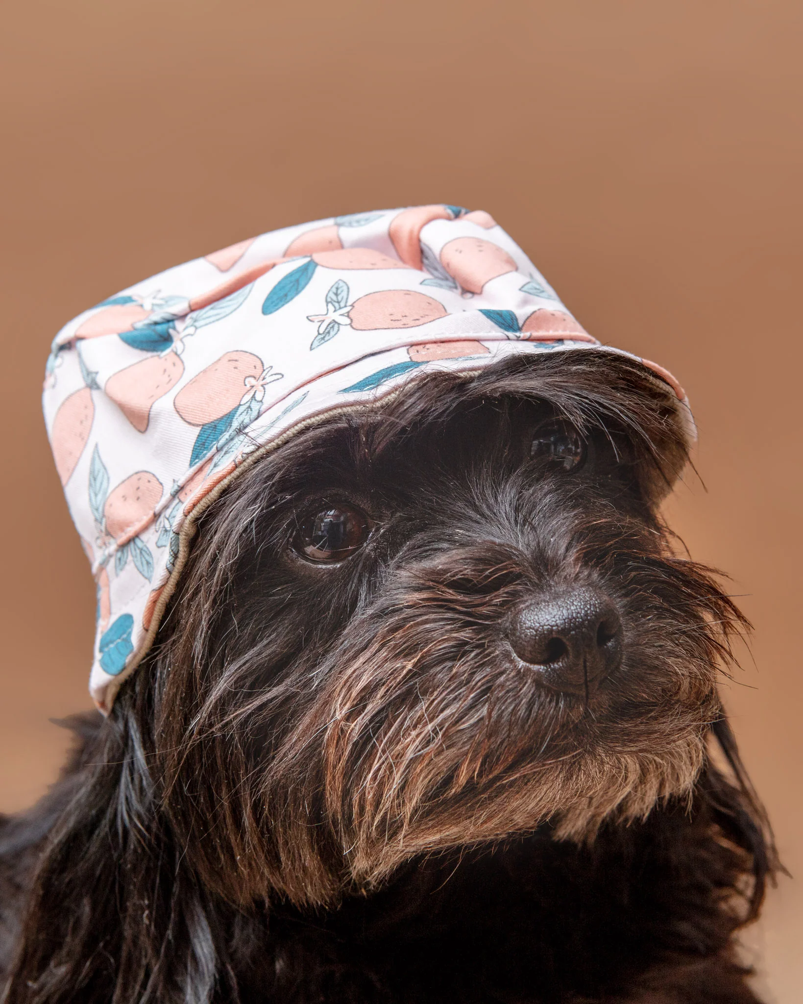 Pink Lemonade Bucket Hat for Dogs << CLEARANCE >> - Image 6