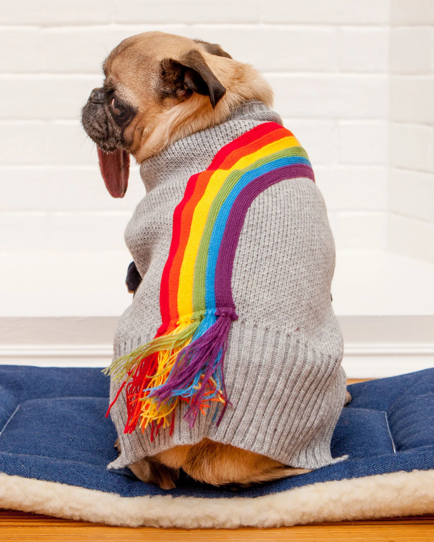 Rainbow Fringe Knit Dog Sweater (FINAL SALE) - Image 2