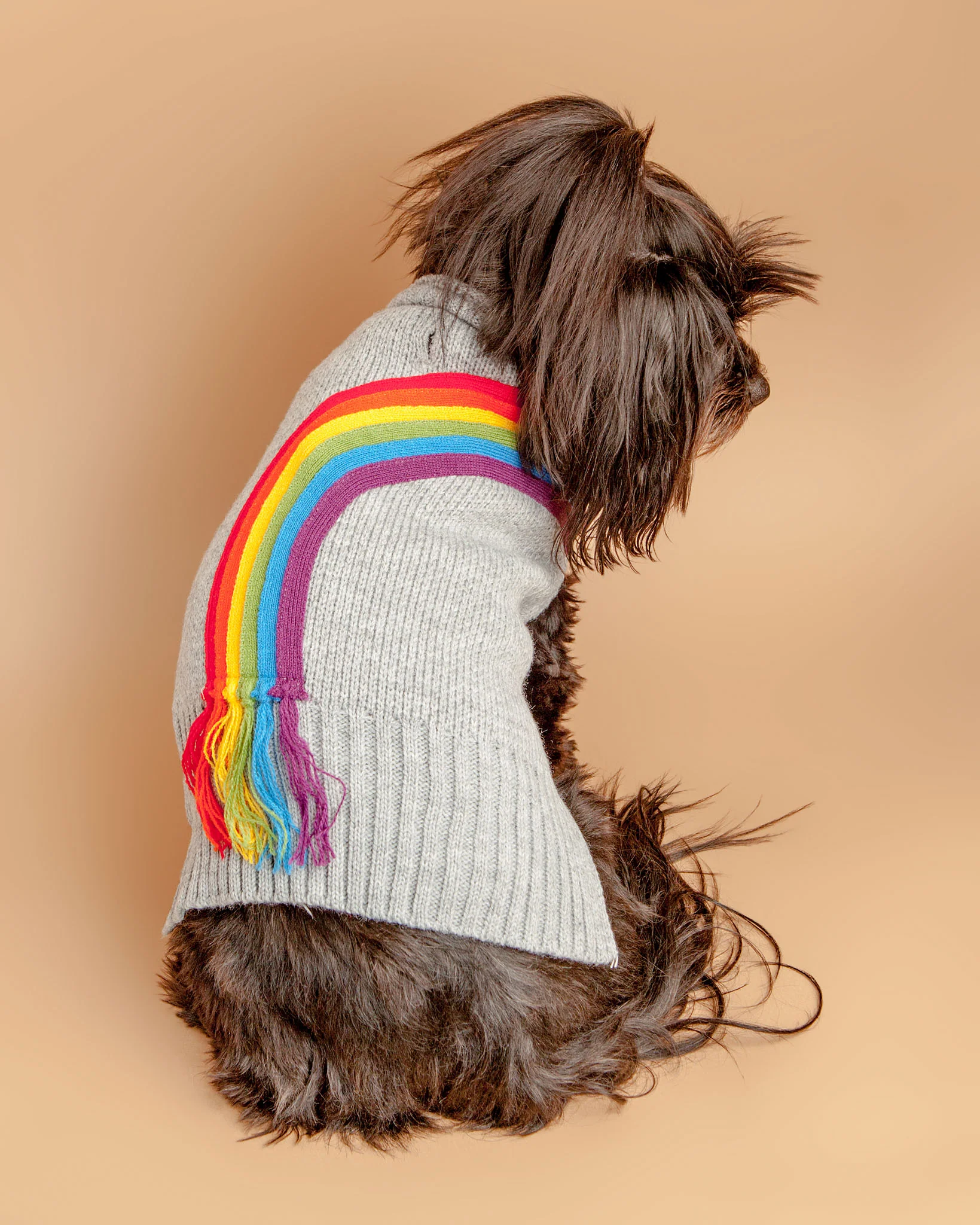 Rainbow Fringe Knit Dog Sweater (FINAL SALE) - Image 8