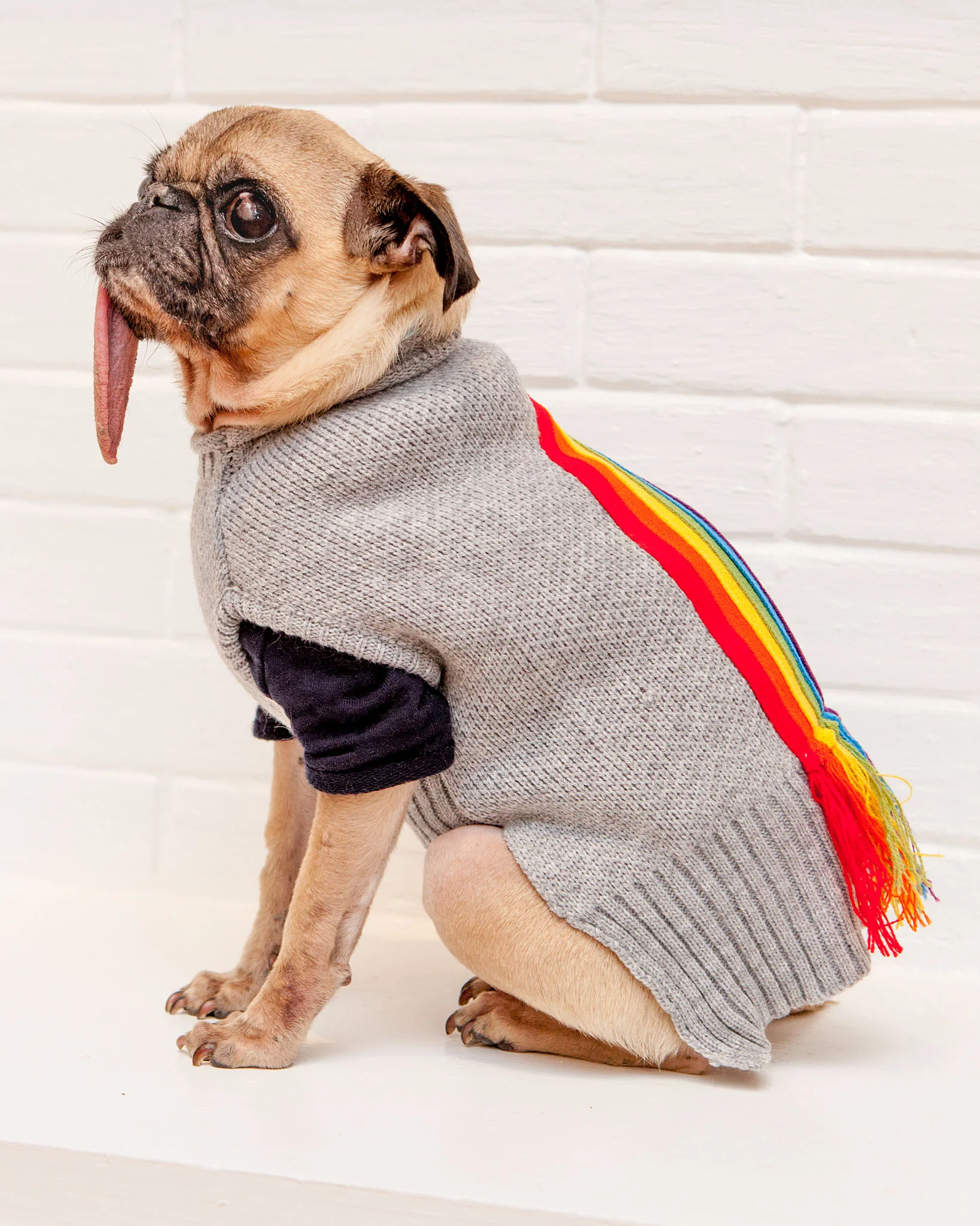 Rainbow Fringe Knit Dog Sweater (FINAL SALE) - Image 9