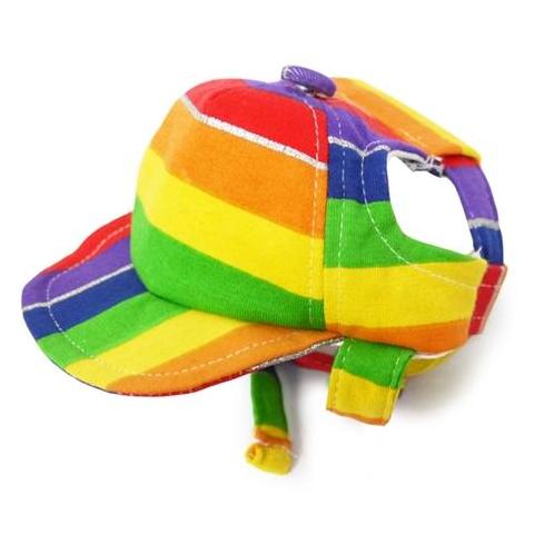 DOGO | Rainbow Hat