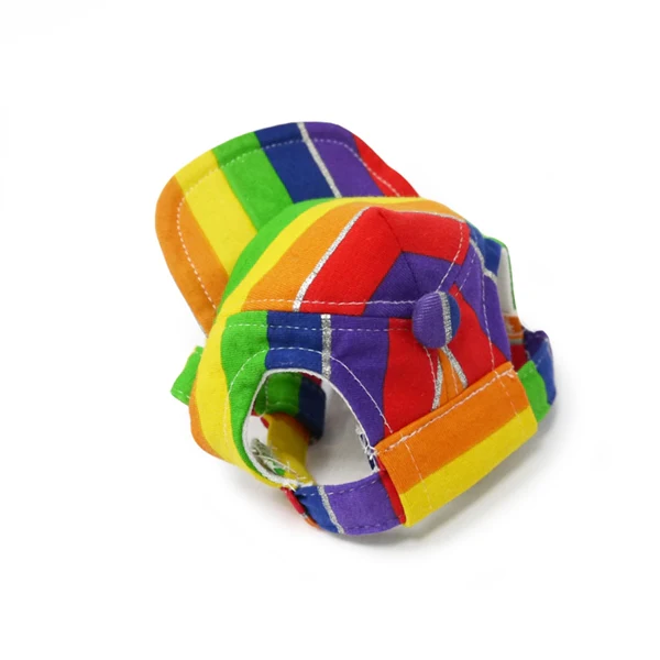 DOGO | Rainbow Hat - Image 3