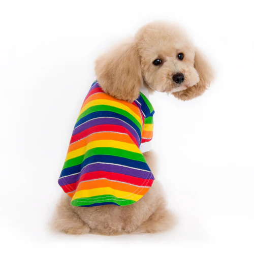DOGO | Rainbow Polo - Image 2