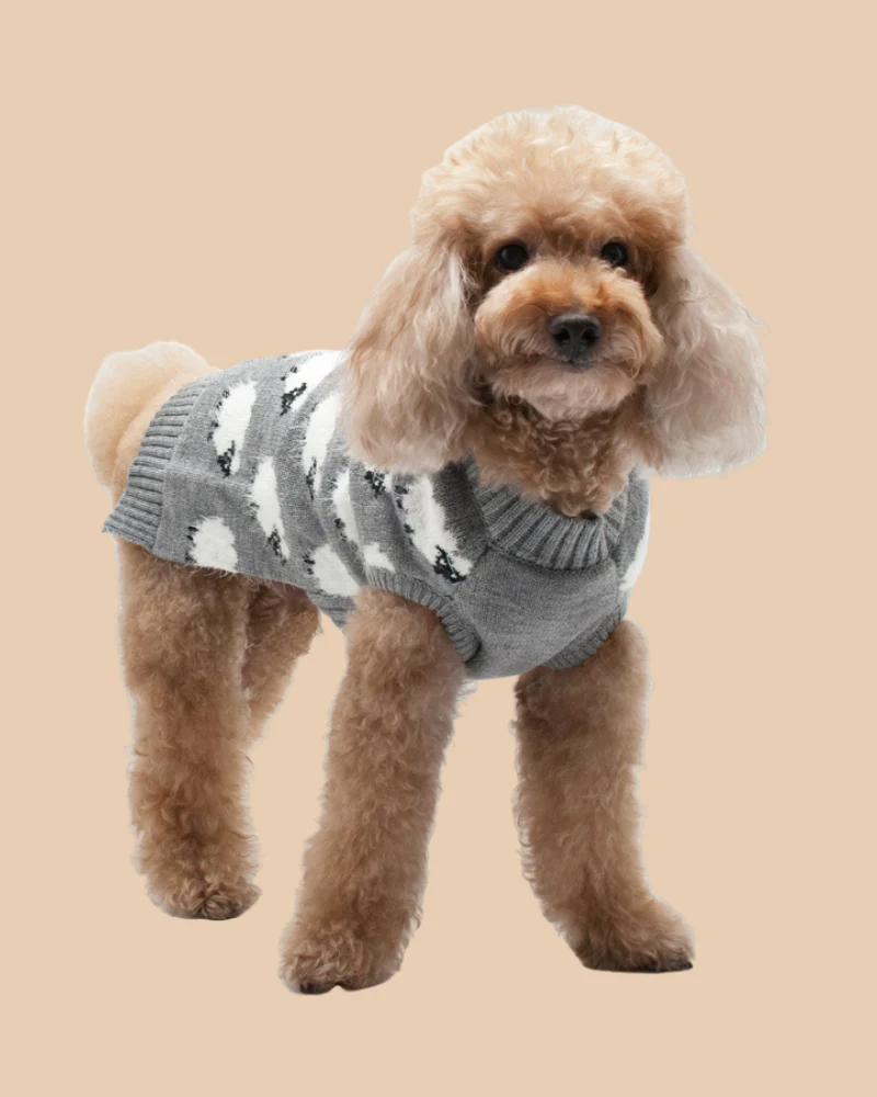 Sweet Sheep Dog Sweater<br>((FINAL SALE)) - Image 3