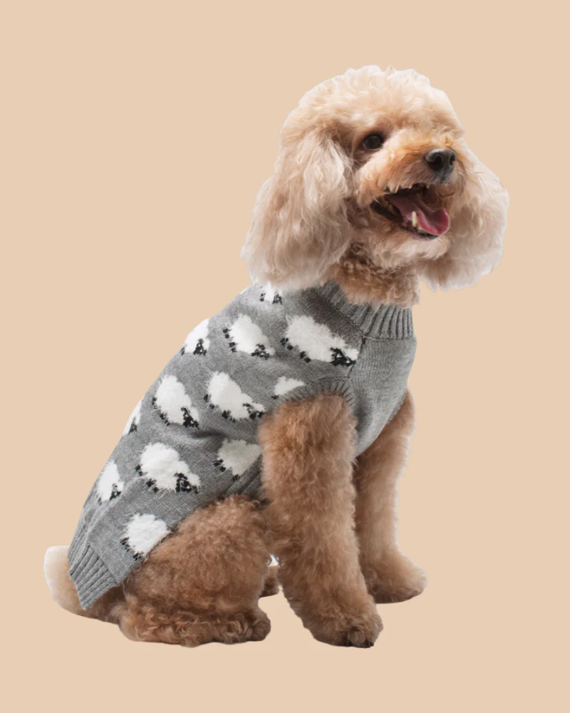 Sweet Sheep Dog Sweater<br>((FINAL SALE)) - Image 4