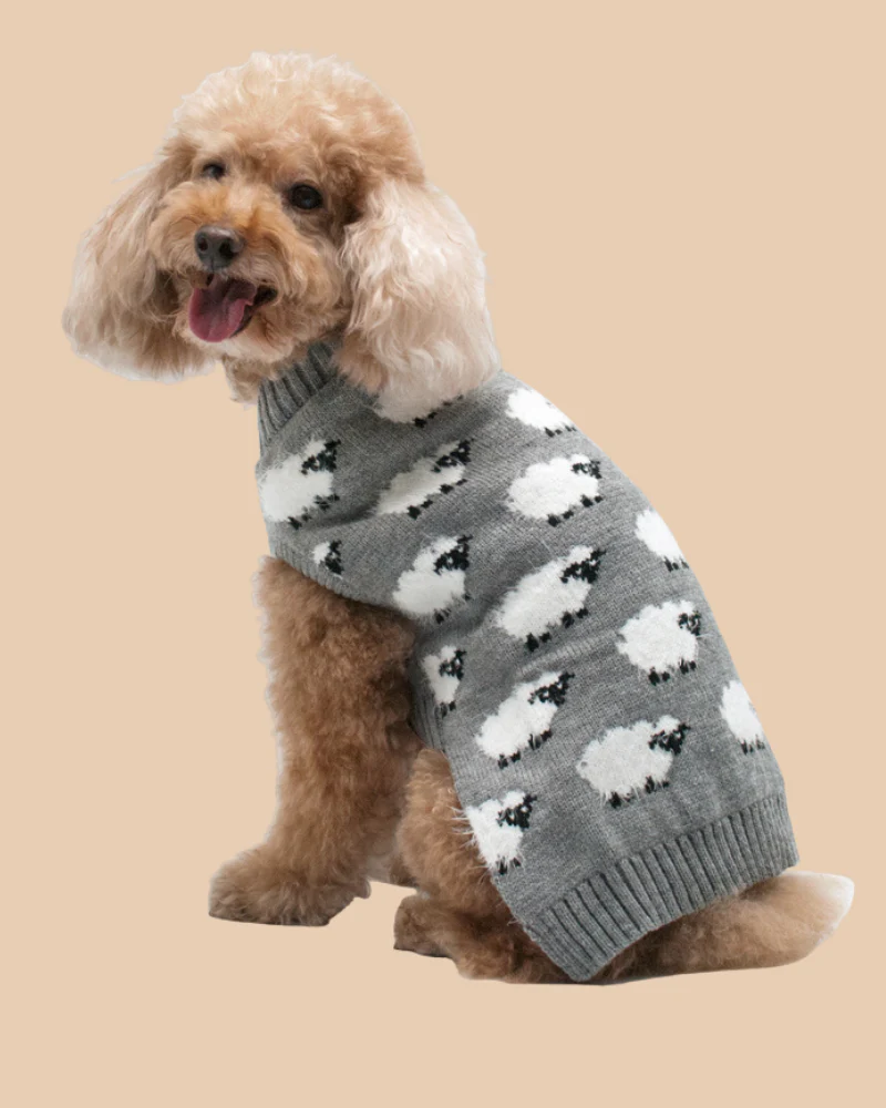 Sweet Sheep Dog Sweater<br>((FINAL SALE)) - Image 5