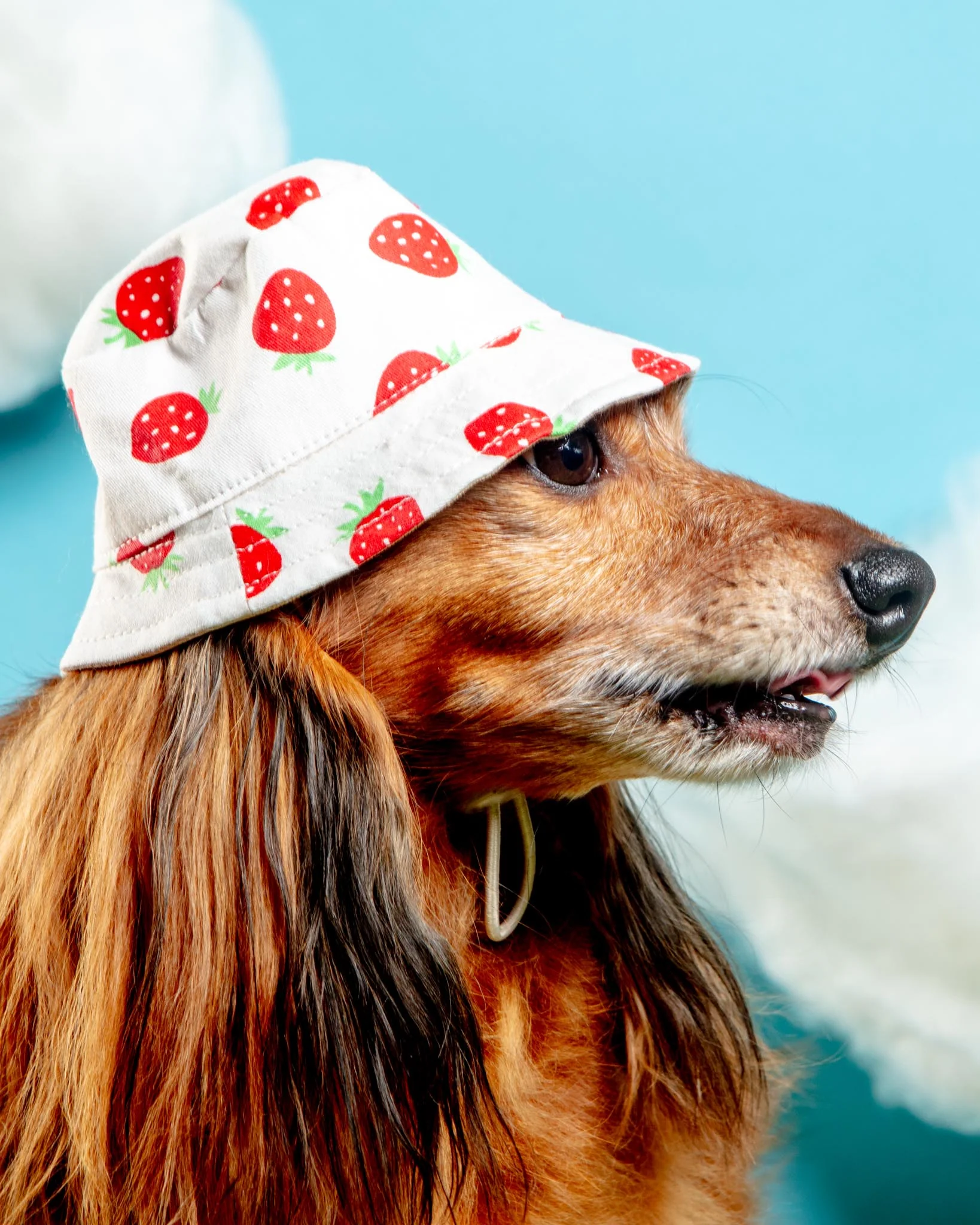 Strawberry Bucket Hat for Dogs