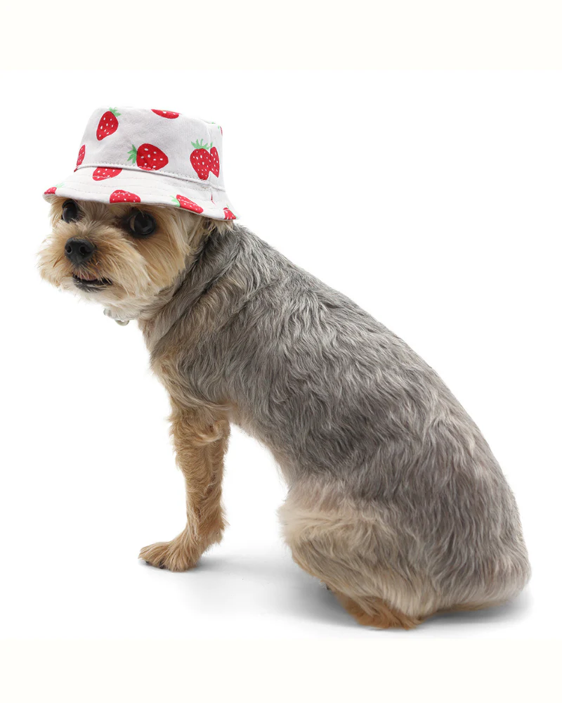 Strawberry Bucket Hat for Dogs - Image 6