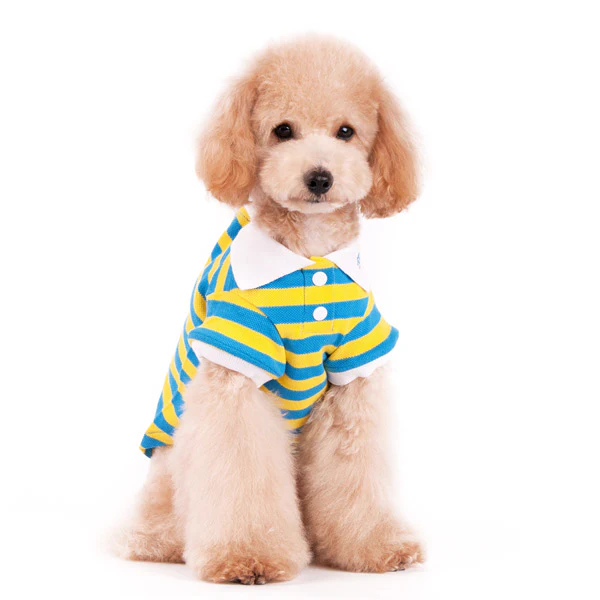 DOGO | Stripe Polo in Yellow and Blue - Image 5