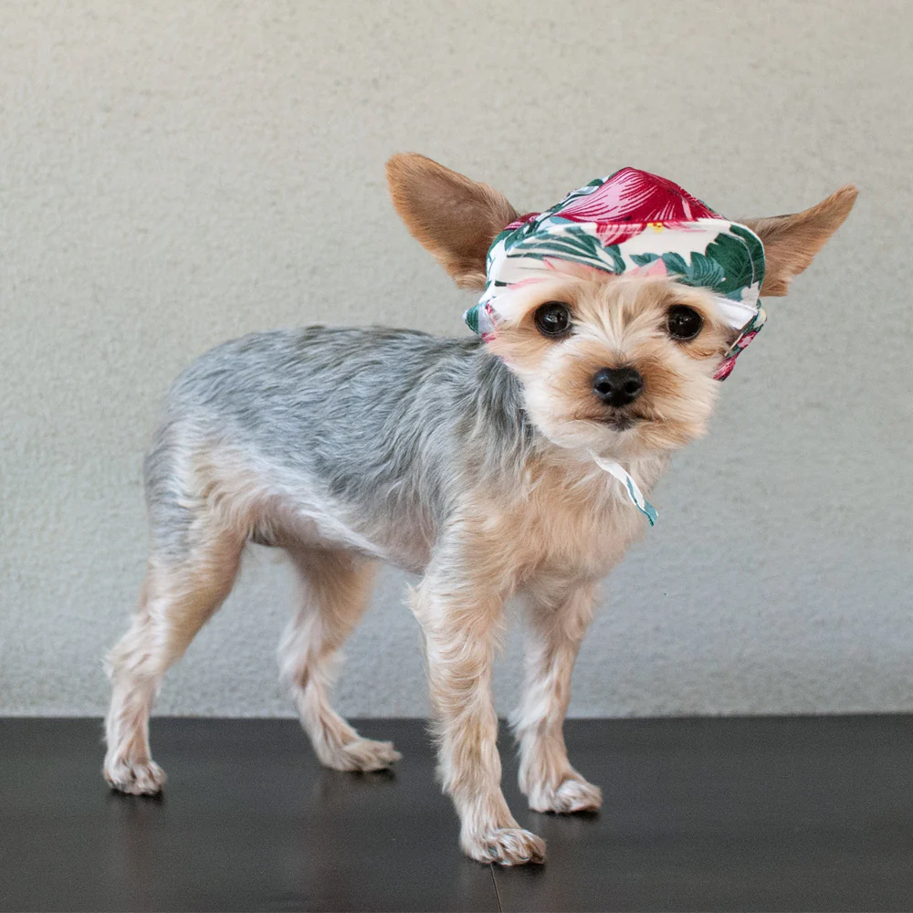 DOGO | Tropical Island Hat - Image 10