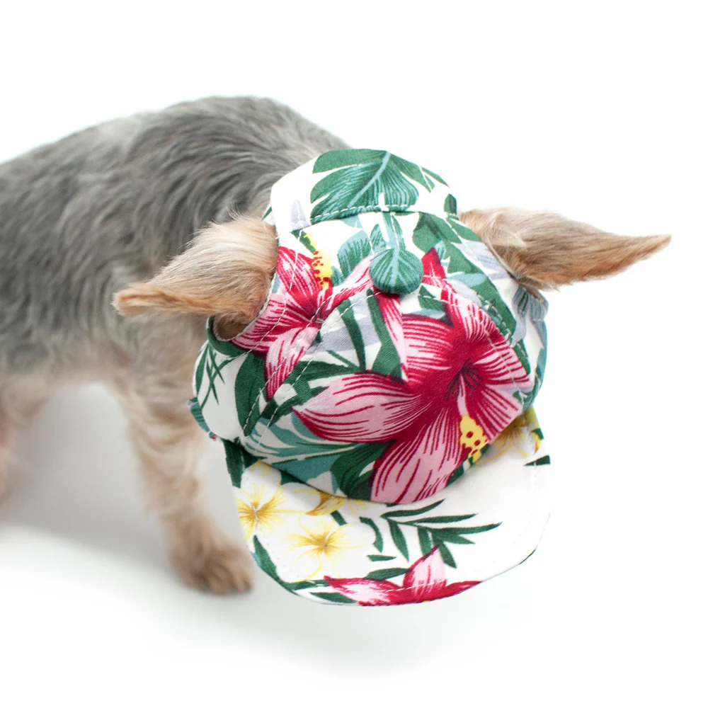 DOGO | Tropical Island Hat - Image 5