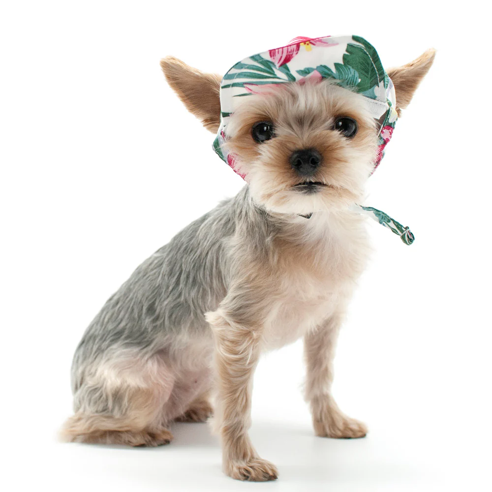 DOGO | Tropical Island Hat - Image 6