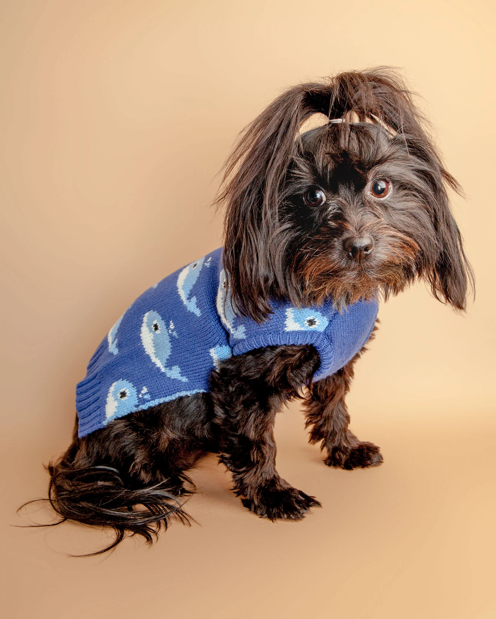 Fuzzy Whale Dog Sweater (FINAL SALE) - Image 2
