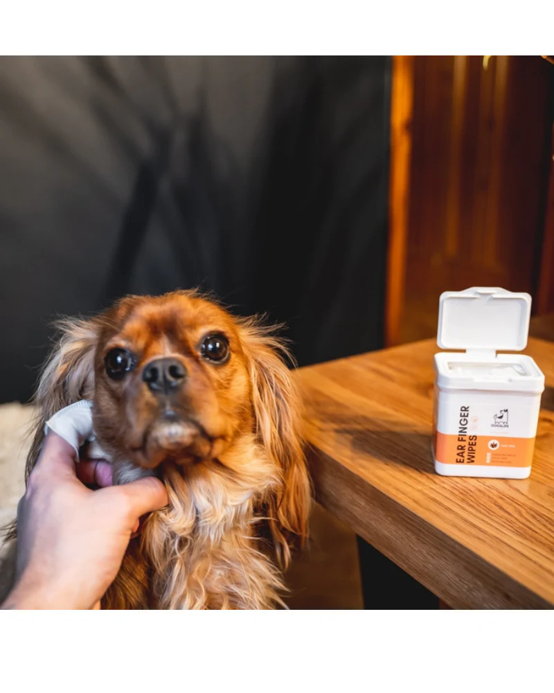 Ear Cleaning Finger Wipes for Dogs - Image 3