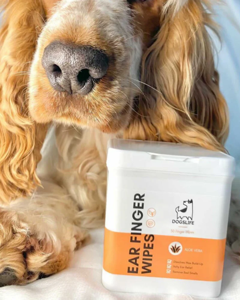 Ear Cleaning Finger Wipes for Dogs - Image 6