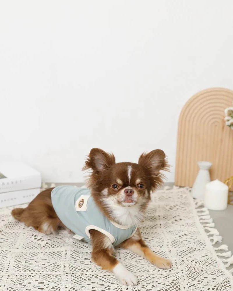 Donut Tank for Dogs (Cooling Fabric) (FINAL SALE) - Image 4