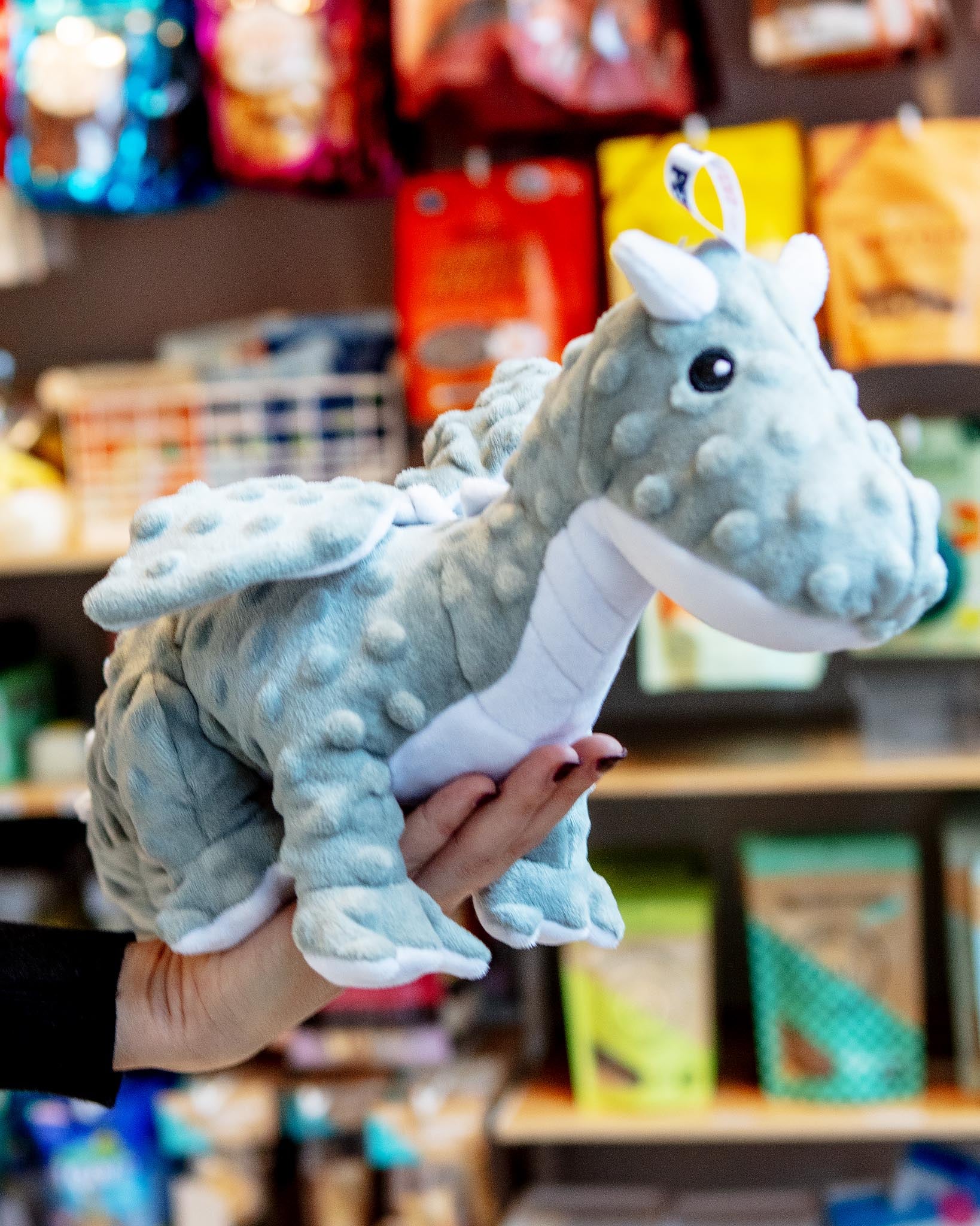 Dotty Dragon Dog Plush Squeaky Dog Toy