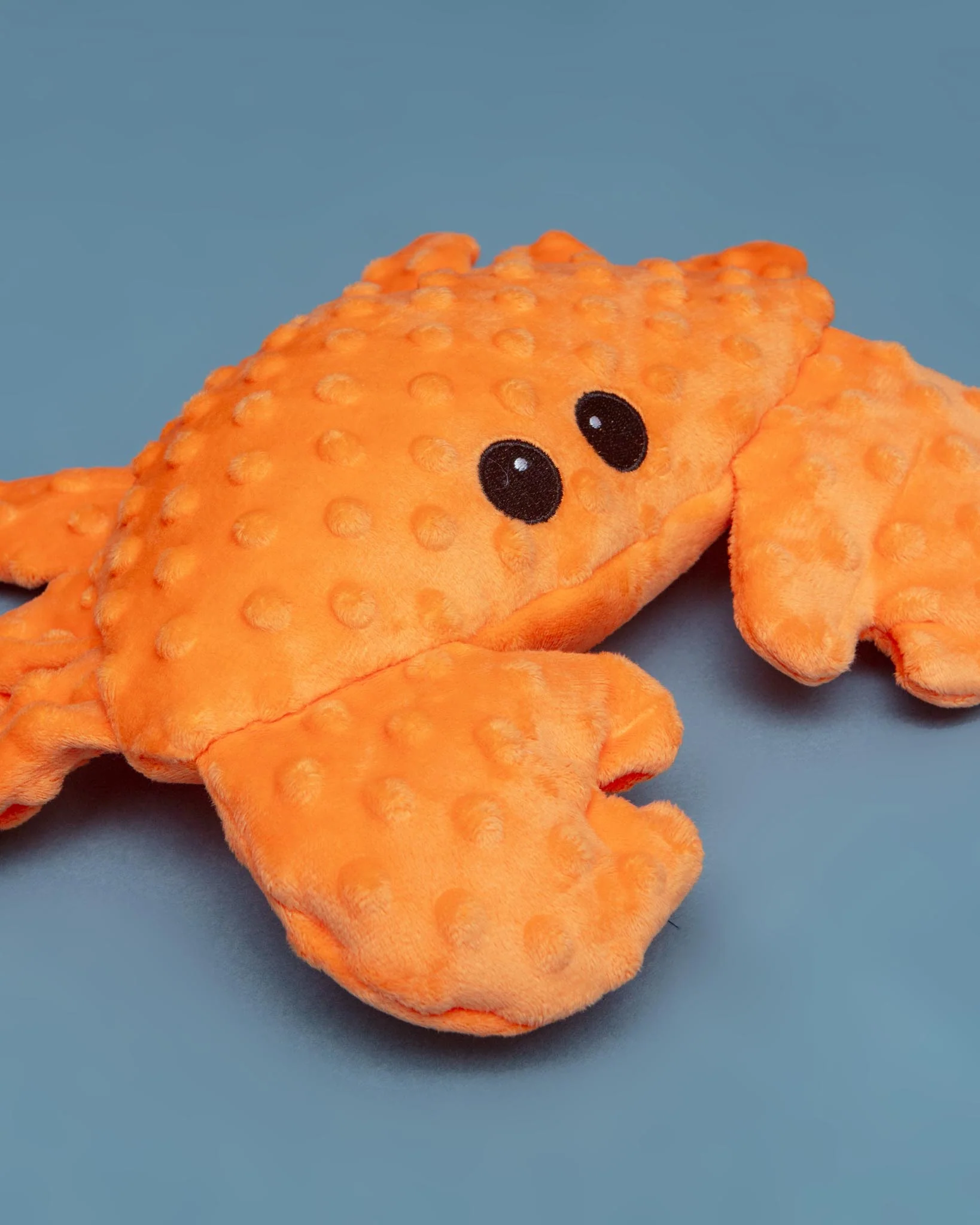 Dotty the Crab Squeaky Plush Dog Toy - Image 2