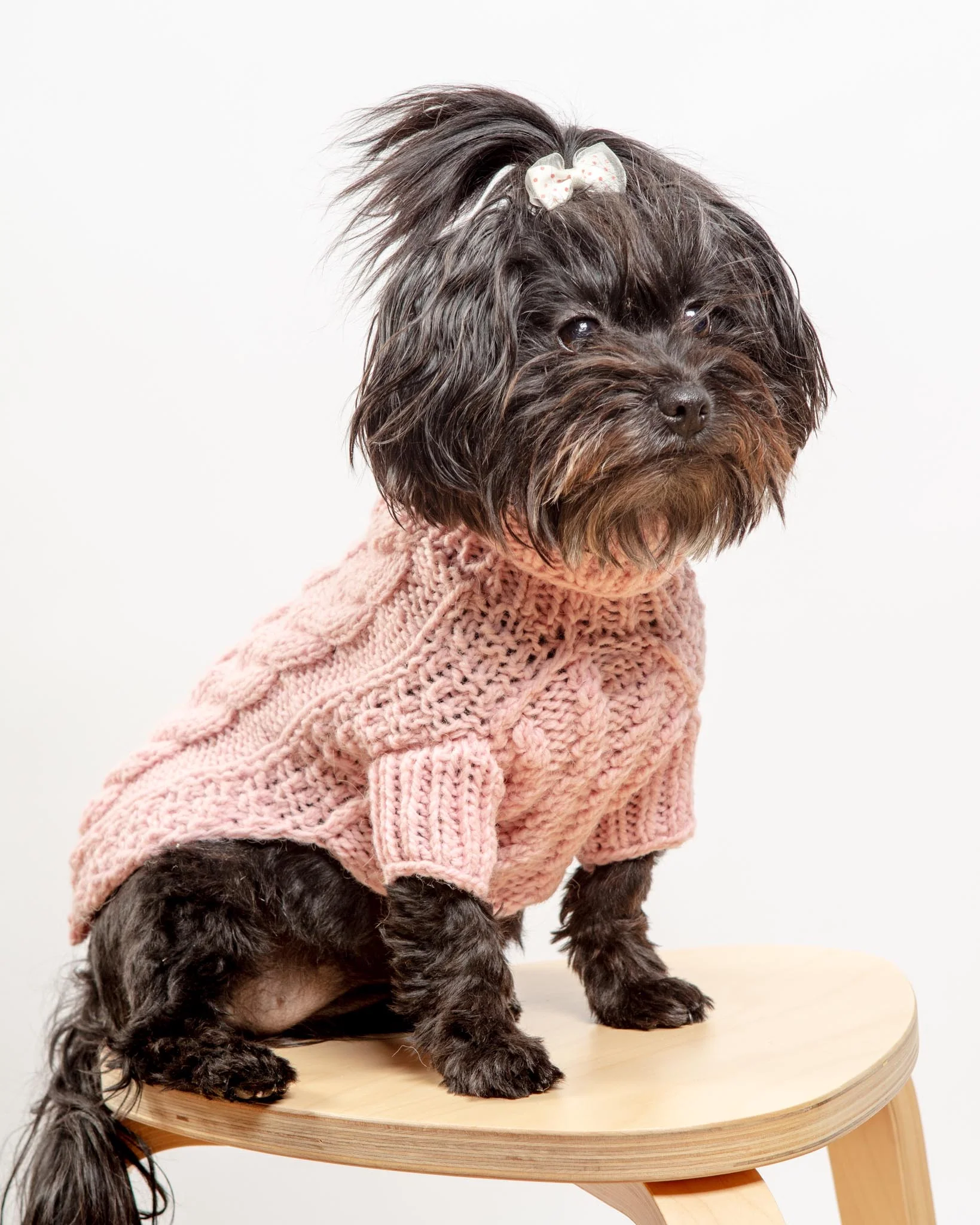 Downtown Roll Neck Dog Sweater in Rose (FINAL SALE) - Image 3