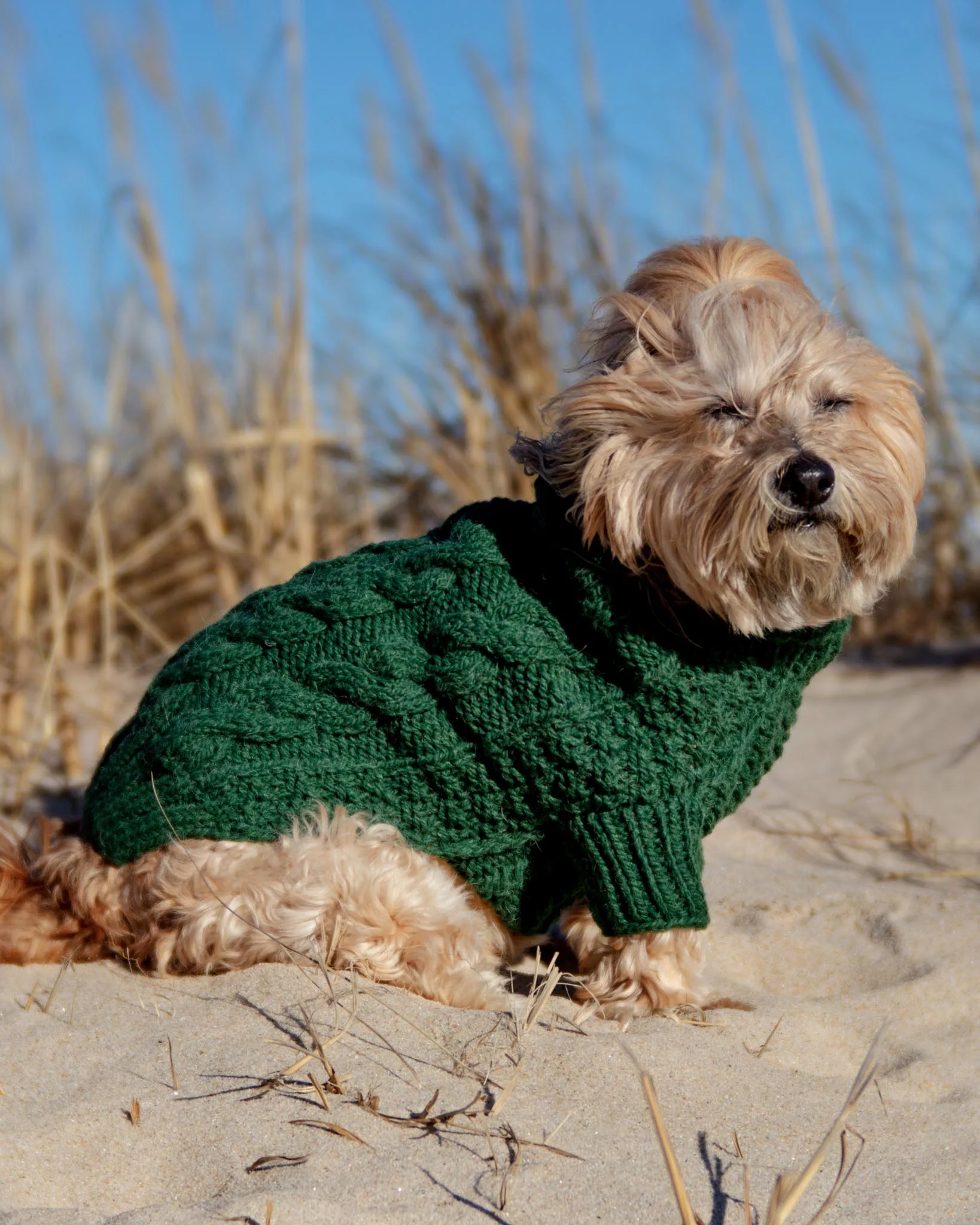 Downtown Roll Neck Dog Sweater in Evergreen (FINAL SALE) - Image 5