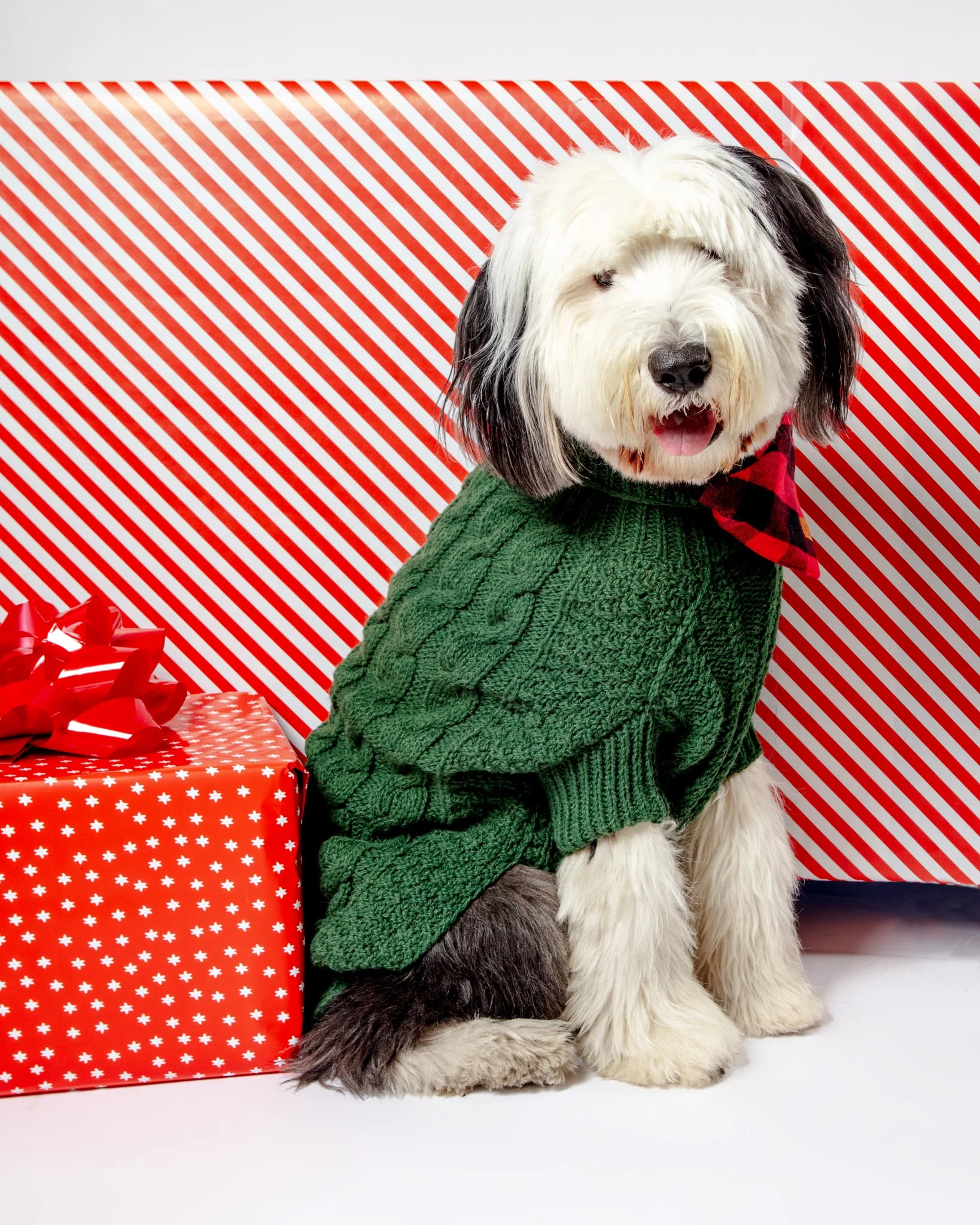 Downtown Roll Neck Dog Sweater in Evergreen (FINAL SALE) - Image 7