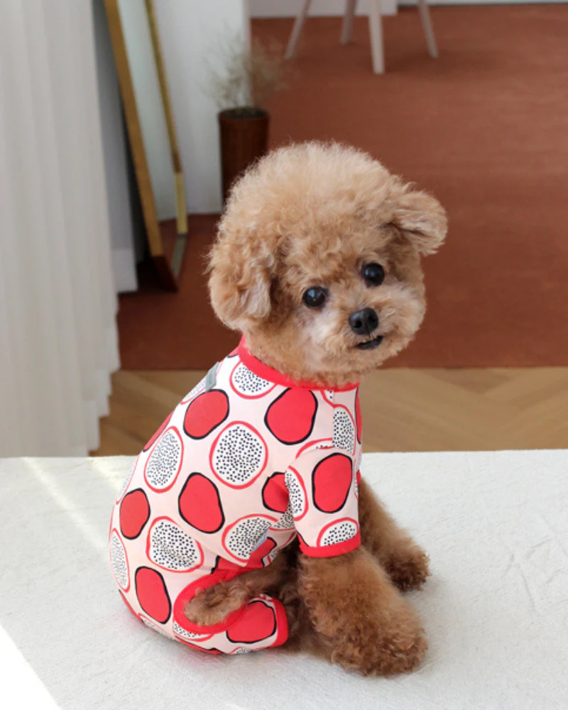 Dragonfruit Print Dog Onesie (FINAL SALE) - Image 2