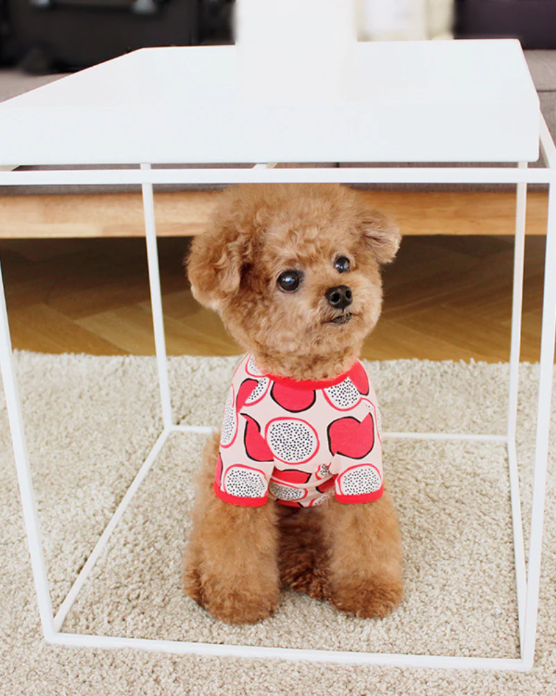 Dragonfruit Print Dog Onesie (FINAL SALE) - Image 3