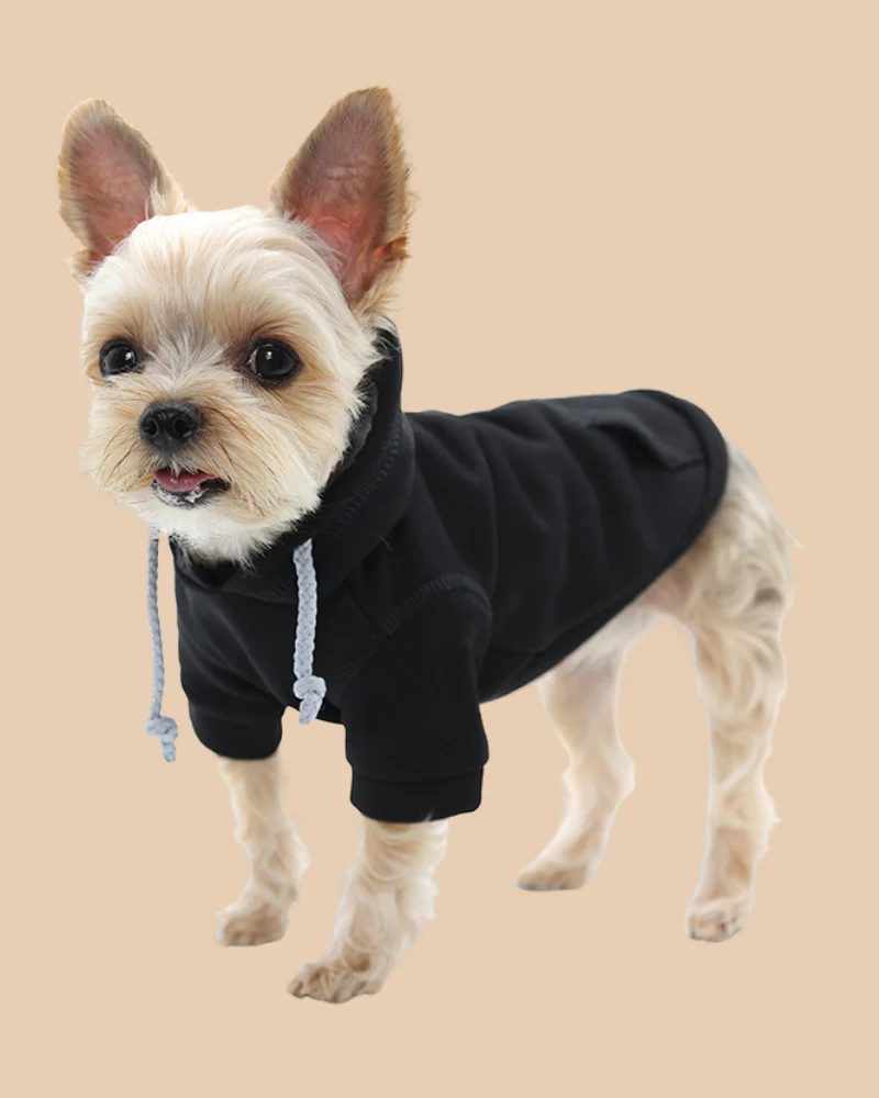 Drawstring Dog Hoodie in Black<br>((FINAL SALE))