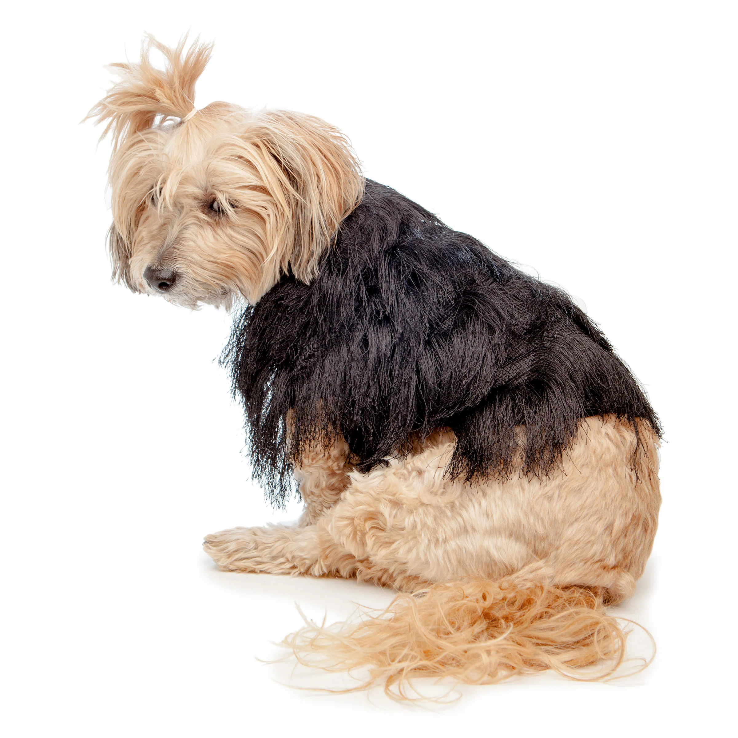 DUKE & DUTCHESS | Fringe Coat in Black - Image 2