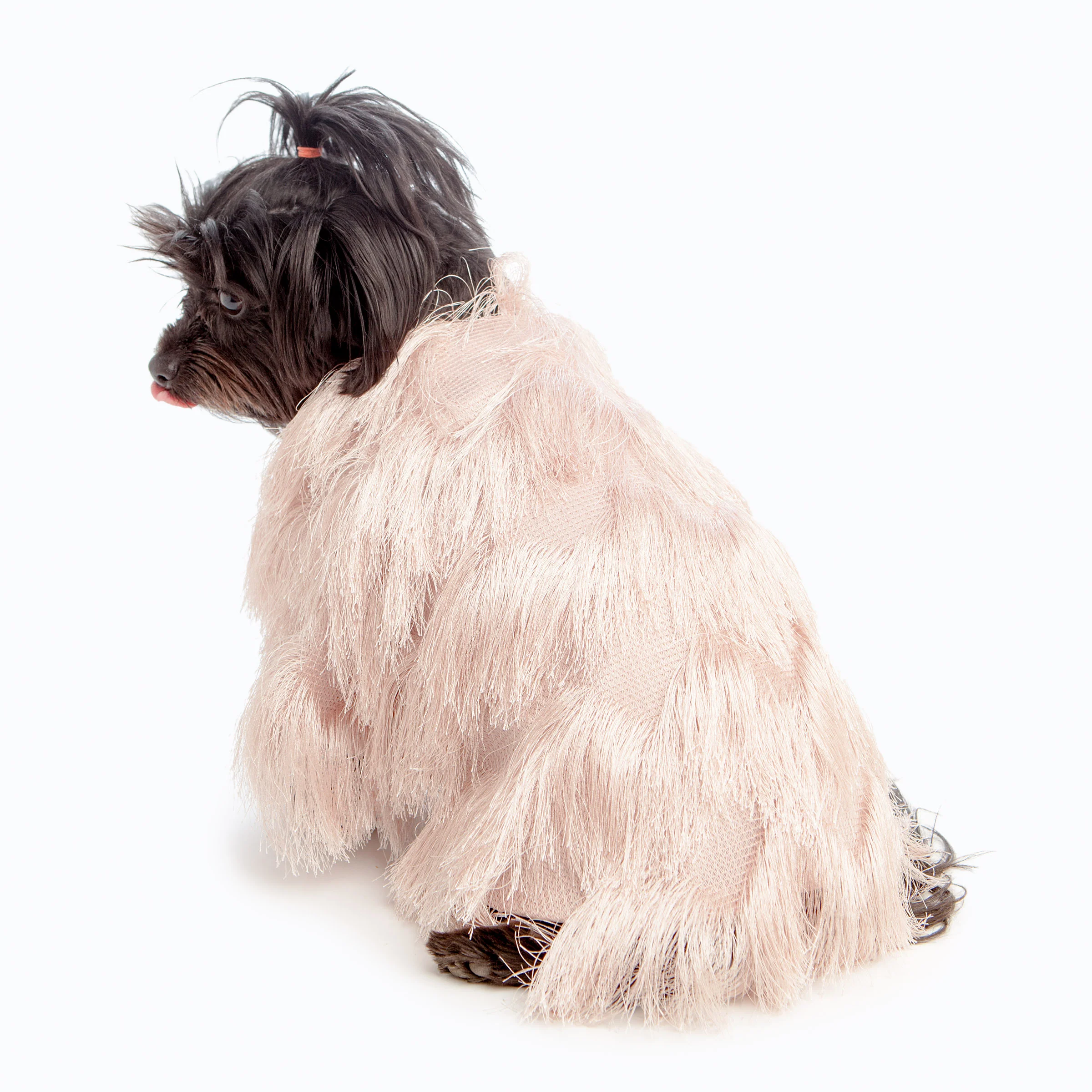 DUKE & DUTCHESS | Fringe Coat in Blush - Image 2