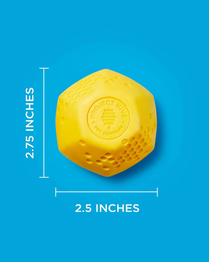 Durable Bouncy & Floating Hive Dog Ball (Made in the USA) (FINAL SALE) - Image 4