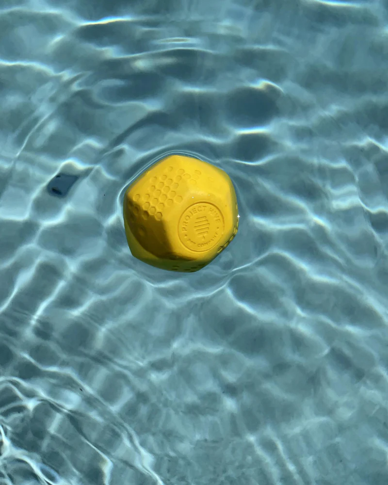 Durable Bouncy & Floating Hive Dog Ball (Made in the USA) (FINAL SALE) - Image 8