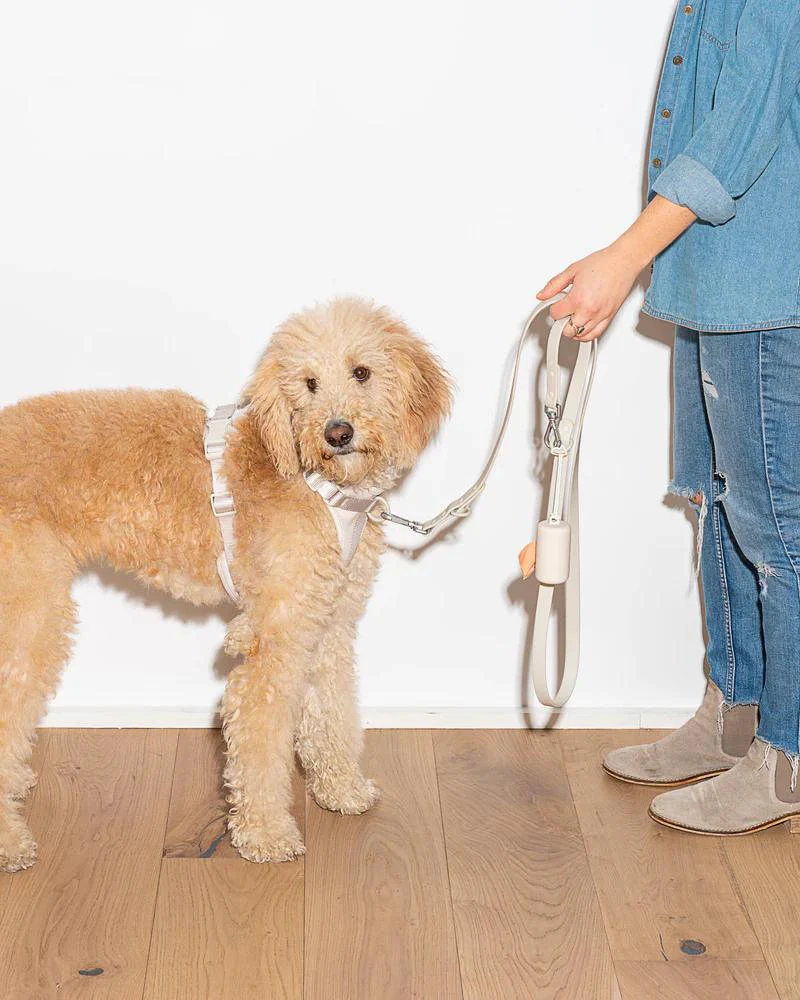 Durable Dog Leash in Grey - Image 3