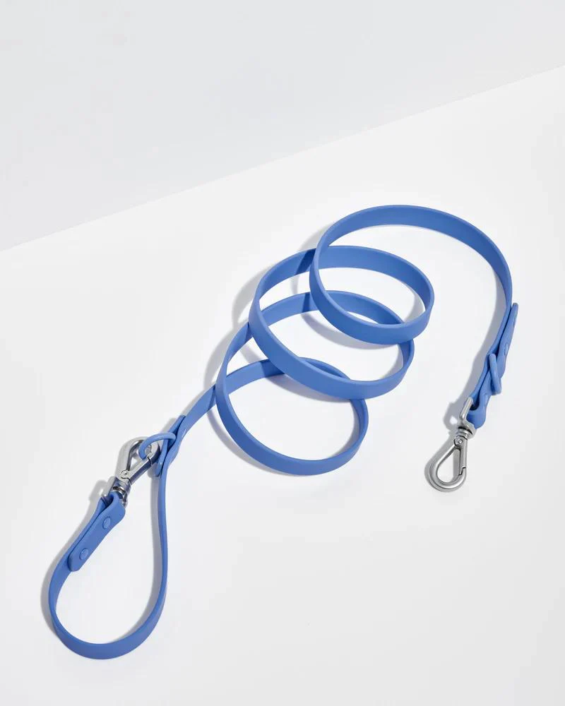 Durable Dog Leash in Moonstone (FINAL SALE) - Image 3