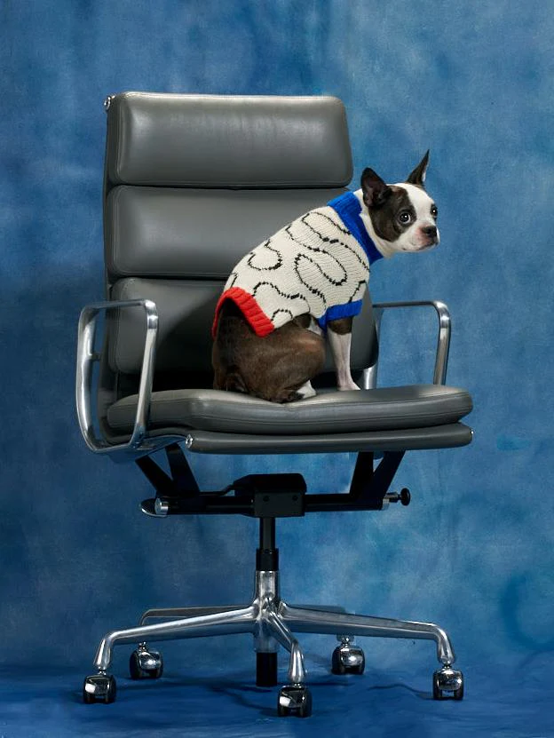 DUSEN DUSEN | Ivory Arc Dog Sweater - Image 2