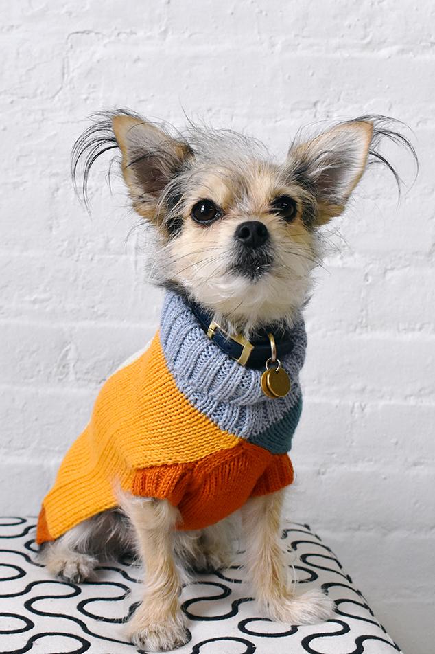 DUSEN DUSEN | Block Dog Sweater - Image 2