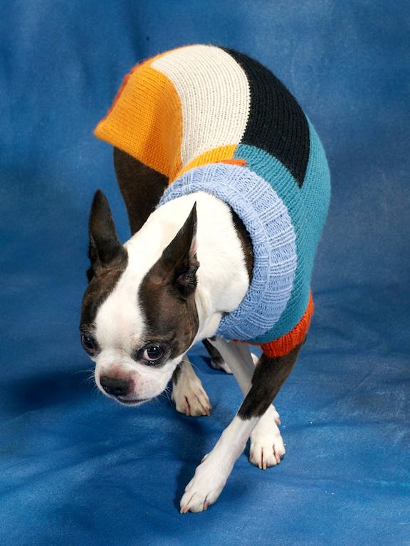 DUSEN DUSEN | Block Dog Sweater - Image 4
