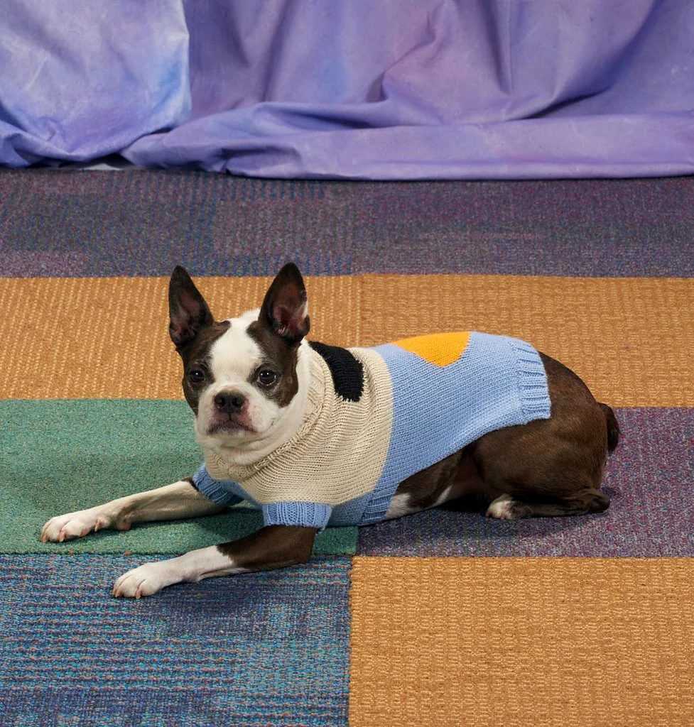 DUSEN DUSEN | Dot Dog Sweater - Image 3